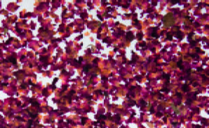 Organoid natural surfaces - Petali di rosa